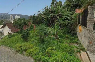 Terreno à venda, 370 m² por r$ 250.000,00 - velha - blumenau/sc