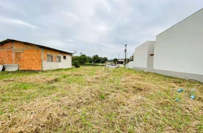 Terreno à venda, 360 m² por r$ 199.000,01 - figueira - gaspar/sc