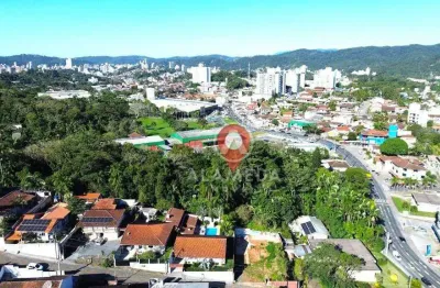 Terreno à venda, 5403 m² por r$ 3.500.000,01 - velha - blumenau/sc
