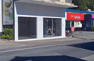 Sala para alugar, 260 m² por R$ 5.949,89/mês - Centro (Blumenau) - Blumenau/SC