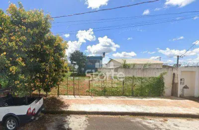 Terreno à venda, 303,75m² por r$ 300.000 - novo mundo - uberlândia/minas gerais