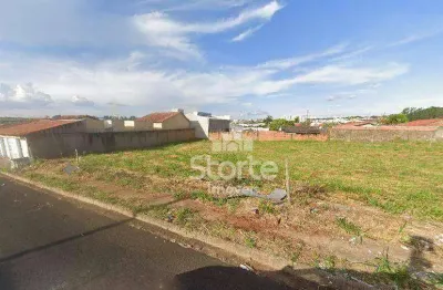 Terreno à venda, 300m² por r$ 174.000 - taiaman - uberlândia/mg