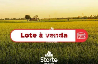 Área com 05 lotes à venda, 1.500m² por r$ 1.450.000 - vida nova - uberlândia/mg
