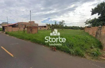 Terreno à venda, 300 m² por r$ 145.000,00 - jardim califórnia - uberlândia/mg