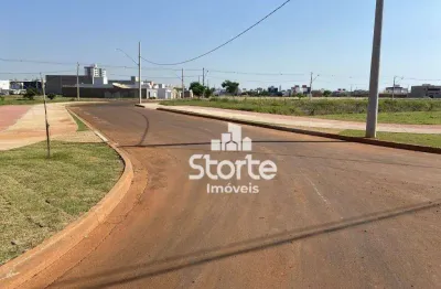 Terreno à venda, 250m² por r$ 250.000 - verde vida - uberlândia/mg