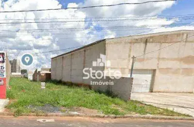 Terreno na principal avenida à venda, 300m² por r$ 360.000 - são bento - uberlândia/mg