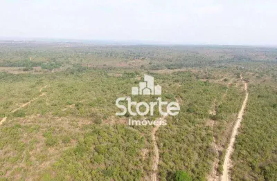 Fazenda à venda, 1694000 m² por r$ 2.000.000,00 - área rural alvorada do norte - alvorada do norte/go