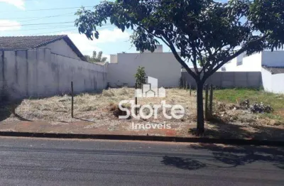 Terreno à venda, 250m² por r$ 240.000 - alto umuarama - uberlândia/mg