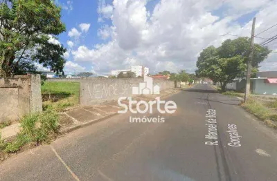 Área à venda, 2.808m² por r$ 1.263.600 - chácaras tubalina - uberlândia/mg