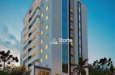 Cobertura com 3 dormitórios à venda, 179 m² por r$ 1.825.000 - patrimônio - uberlândia/mg