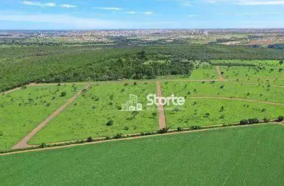 Excelentes terrenos em condomínio fechado à venda, 5.000m² de r$ 1.800.000 - bom jardim - uberlândia/mg