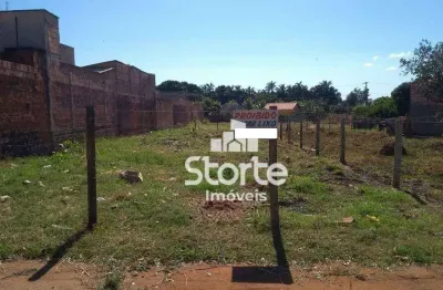 Terreno à venda, 290 m² por r$ 170.000,00 - shopping park - uberlândia/mg