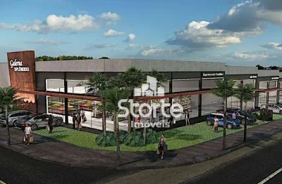 Galpão para alugar, 519 m² por r$ 15.572,70/mês - loteamento splêndido - uberlândia/mg