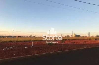 Terreno à venda, 250 m² por r$ 200.000,00 - portal do vale - uberlândia/mg