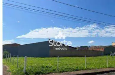 Terrenos à venda financiando em até 36x, 04 lotes de 250m² cada por r$ 300.000 - marta helena - uberlândia/mg