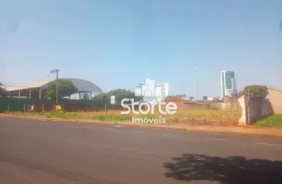 Terreno à venda, 1400 m² por r$ 2.800.000 - tibery - uberlândia/mg