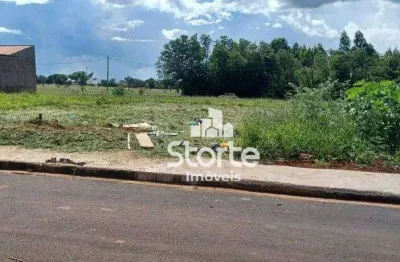 Terreno à venda, 300 m² por r$ 150.000,00 - jardim ipanema - uberlândia/mg