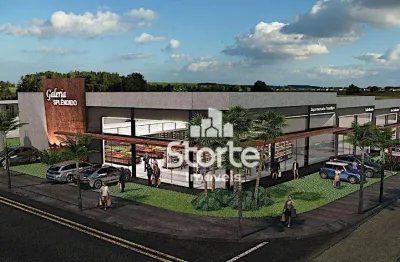 Galpão à venda, 791,1m² por r$ 3.955.500 -  galeria splêndido (loteamento splêndido) - uberlândia/mg