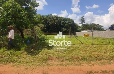 Chácara à venda, 1000 m² por r$ 147.000,00 - morada nova - uberlândia/mg
