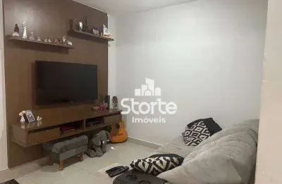 Casa com 2 dormitórios à venda, 120 m² por r$ 460.000,00 - terra nova uberlândia 2 - uberlândia/mg