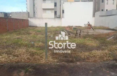 Terreno à venda, 600 m² por r$ 490.000,00 - novo mundo - uberlândia/mg