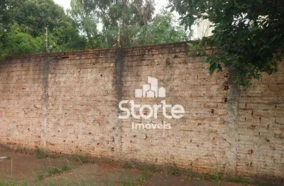 Área à venda, 600m² por r$ 850.000 - santa mônica - uberlândia/mg