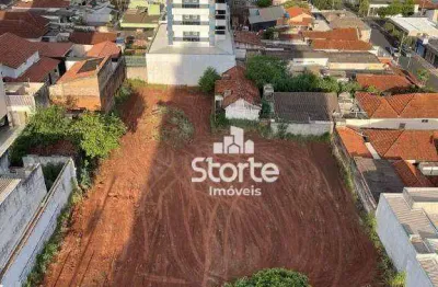 Área à venda, 1.480 m² por r$ 3.600.000 - osvaldo rezende/martins - uberlândia/mg