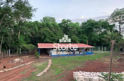 Chácara com 2 dormitórios à venda, 2400 m² por r$ 527.000 - represa de miranda - uberlândia/mg
