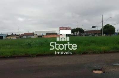 Área à venda, 3600 m² por r$ 5.200.000,00 - segismundo pereira - uberlândia/mg