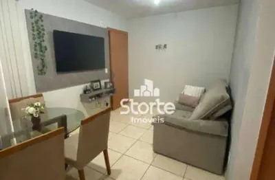 Apartamento com 2 dormitórios à venda, 48 m² por r$ 255.000,00 - gávea sul - uberlândia/mg