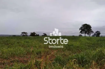 Fazenda de dupla aptidão formada na pecuária com 484 hectares (100 alqueires) por r$ 22.000.000 - município de carneirinho - mg