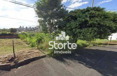 Terreno à venda com 519m² por r$ 420.000 em local nobre no vigilato pereira - uberlândia/mg