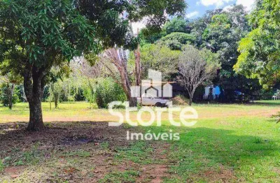 Chácara com 4 dormitórios à venda, 5.000m² por r$ 1.500.000 - chácara panorama - uberlândia/mg