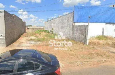 Terreno comercial em avenida à venda, 300m² por r$ 316.000 - são bento - uberlândia/mg