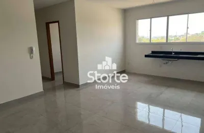 Apartamento com 3 dormitórios à venda, 72 m² por r$ 355.000,00 - dona zulmira - uberlândia/mg