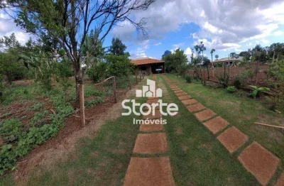 Chácara com 3 dormitórios à venda, 2.000m² por r$ 450.000 - br-365 - 15km de uberlândia/mg