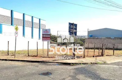 Terreno à venda, 344,60m² por r$ 483.000 - santa mônica - uberlândia/mg