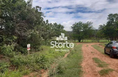 Terreno à venda, 1.000 m² por r$ 110.000 - morada nova - uberlândia/mg