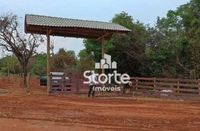 Chácara à venda, 2 hectares (20.000m²) por r$ 250.000 - uberlândia sentido araguari/indianópolis – mg