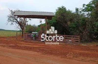 Chácara à venda, 2 hectares (20.000m²) por r$ 270.000 - uberlândia sentido araguari/indianópolis – mg