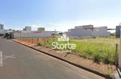 Terreno à venda, 300m² por r$ 270.000 - vida nova - uberlândia/mg