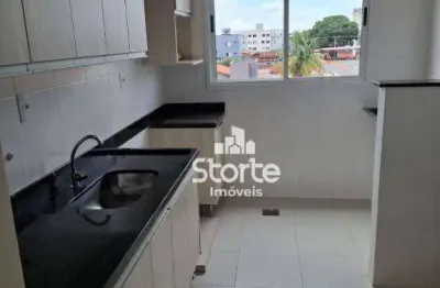Apartamento com armários planejados de 2/4 à venda, 53,33m² por r$ 255.000 - alto santa mônica - uberlândia/mg