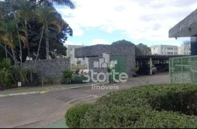 Apartamento com 3 dormitórios à venda, 61 m² por r$ 237.000,00 - alto umuarama - uberlândia/mg