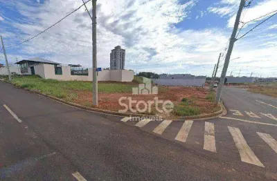 Área à venda, 1.017,73m² por r$ 1.650.000 - verde umuarama - uberlândia/mg