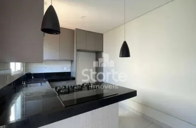Casa com 3 dormitórios à venda, 150m² por r$ 490.000 - condomínio terra nova 1 - uberlândia/mg