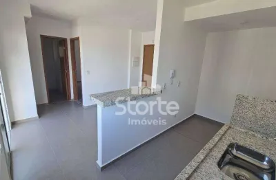 Apartamento com 2 dormitórios à venda, 45 m² por r$ 250.000 - grand ville - uberlândia/mg