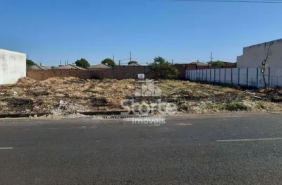 Terreno à venda, 300m² por r$ 300.000 - monte hebron - uberlândia/mg