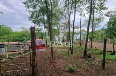 Chácara à venda, 3000 m² por r$ 280.000 - área rural - uberlândia/mg