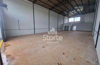 Galpão, 262 m² - venda por r$ 950.000,00 ou aluguel por r$ 7.500,00/mês - novo mundo - uberlândia/mg