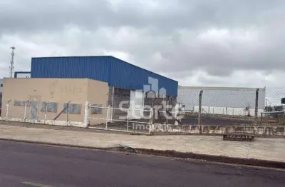 Galpão para alugar, 500 m² por r$ 17.500/mês - distrito industrial - uberlândia/mg